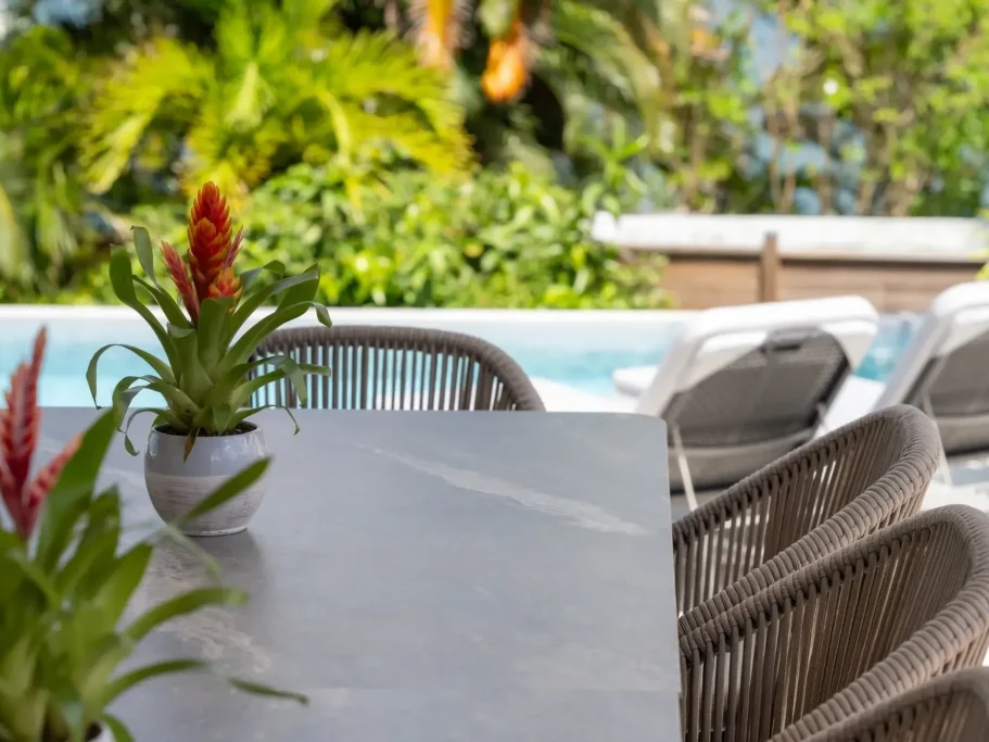 Table en extérieur avec des plantes, chaises et piscine en arrière-plan.