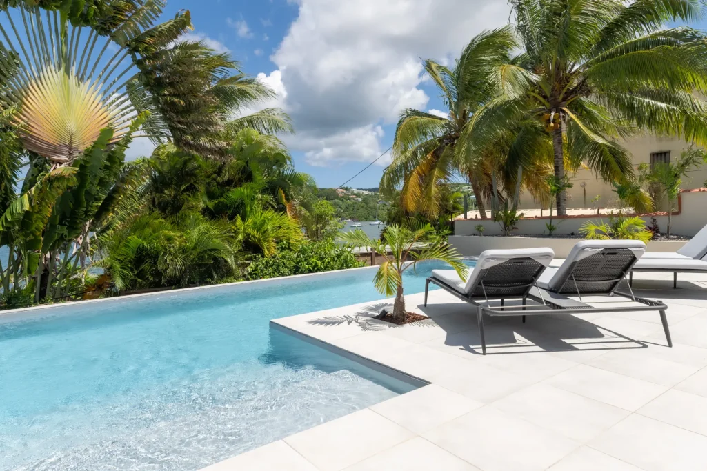 Piscine avec chaises longues, entourée de palmiers et d'une vue sur l'eau.